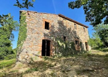 Casale San Venanzo - foto 2