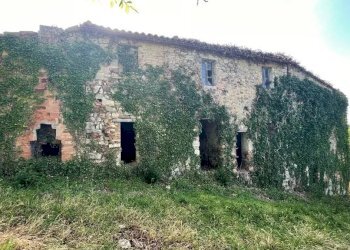 Casale San Venanzo - foto 4