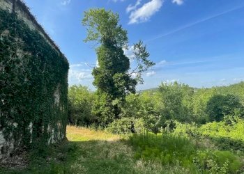 Casale San Venanzo - foto 5