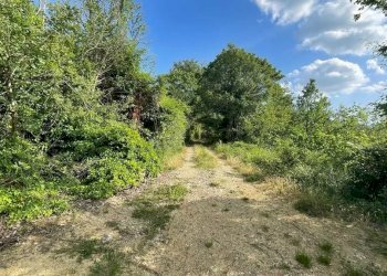 Casale San Venanzo - foto 12