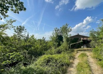 Casale San Venanzo - foto 13