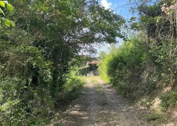 Casale San Venanzo - foto 14