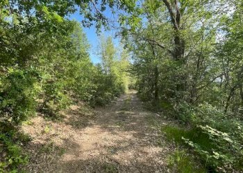 Casale San Venanzo - foto 15