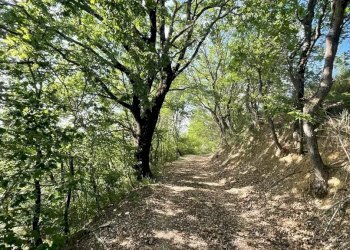 Casale San Venanzo - foto 16