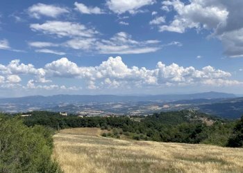 Castello strada provinciale, Todi - foto 7