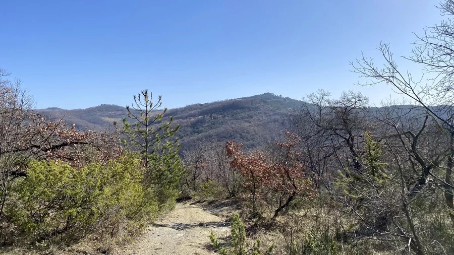 Villa Gubbio - photo 1