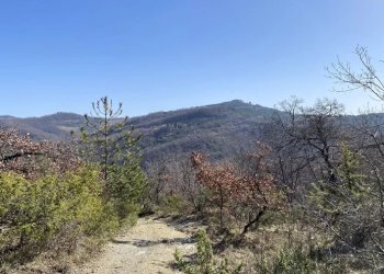 Villa Gubbio - foto 1