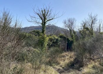 Villa Gubbio - foto 3