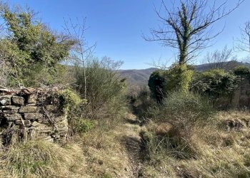 Villa Gubbio - foto 5