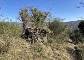 Villa Gubbio - foto 6