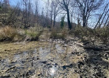 Villa Gubbio - foto 9