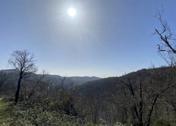 Villa Gubbio - foto 15