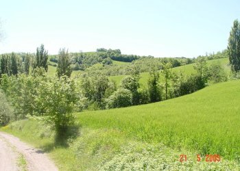 Villa Assisi - foto 8