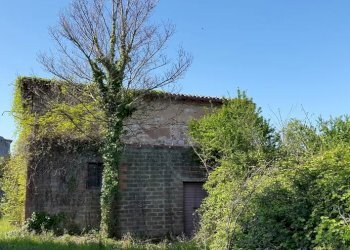 Casale San Venanzo - foto 6