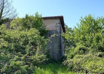 Casale San Venanzo - foto 7