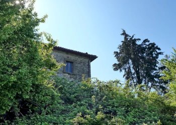 Casale San Venanzo - foto 8