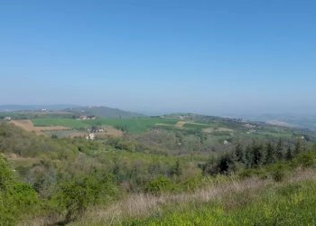 Casale San Venanzo - foto 10