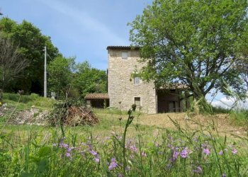 Casale Baschi - photo 4