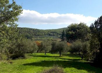 Casale Baschi - photo 5