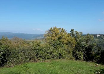 Casale Baschi - photo 8