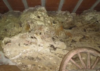 Casale Baschi - photo 32