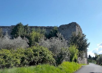 Dimora Storica San Venanzo - foto 3