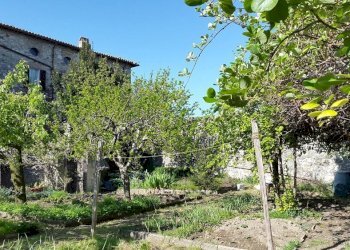 Dimora Storica San Venanzo - foto 9