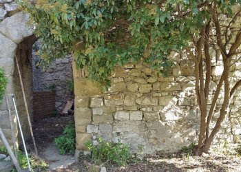 Dimora Storica San Venanzo - foto 10