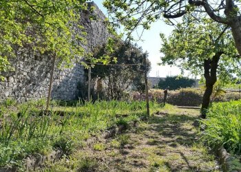 Dimora Storica San Venanzo - foto 12