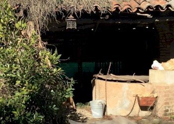 Rustico Castel San Pietro Terme - foto 5