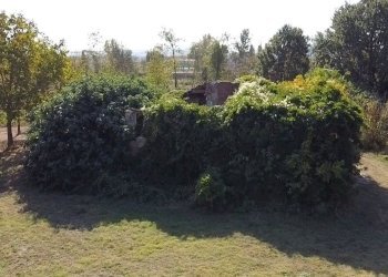 Rustico Castel San Pietro Terme - foto 15