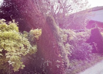 Casa indipendente Vezza d'Alba - foto 6