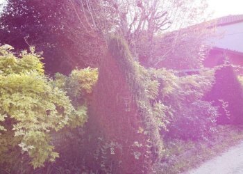 Casa indipendente Vezza d'Alba - foto 9