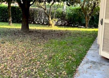 Casa indipendente Vezza d'Alba - foto 18