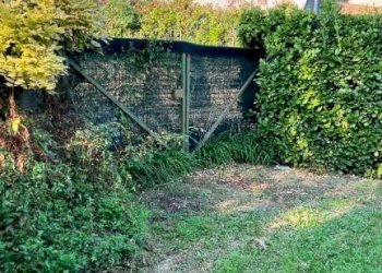 Casa indipendente Vezza d'Alba - foto 19