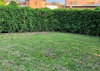 Casa indipendente Vezza d'Alba - foto 20