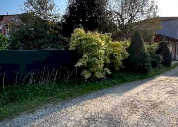 Casa indipendente Vezza d'Alba - foto 29