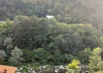 Magazzino Porte - foto 10