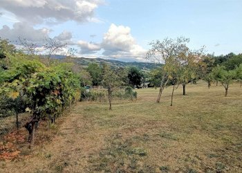 Casa Colonica Via Casoncello 121, Camugnano - foto 11