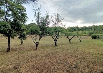 Casa Colonica Via Casoncello 121, Camugnano - foto 14