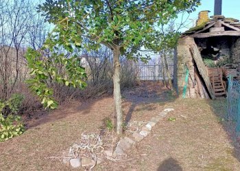 Terratetto - Terracielo Via Monzale 16, Camugnano - foto 4