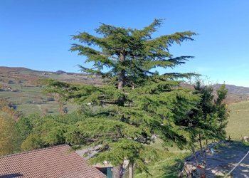 Semi-detached Villa Via Nazionale 123, 125, Castiglione dei Pepoli - photo 22