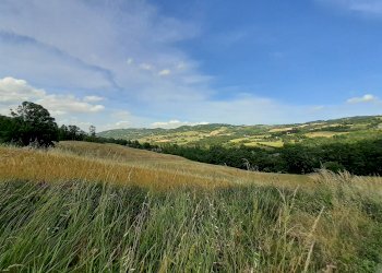 Rustico Tradio, Camugnano - foto 7