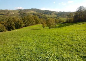 Rustico Tradio, Camugnano - foto 26