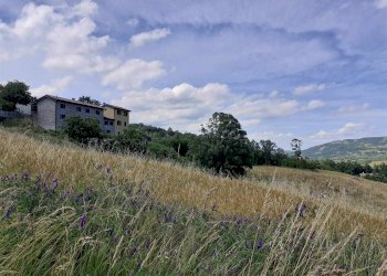 Rustico Tradio, Camugnano - foto 29