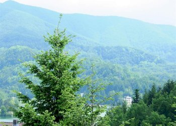 Trilocale Via Guardata, Loc. Brasimone 83A, Camugnano - foto 4