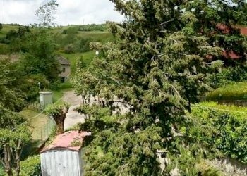 Trilocale Via Guardata, Loc. Brasimone 83A, Camugnano - foto 14