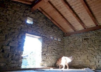 Trilocale Via Setta 6, Castiglione dei Pepoli - foto 10