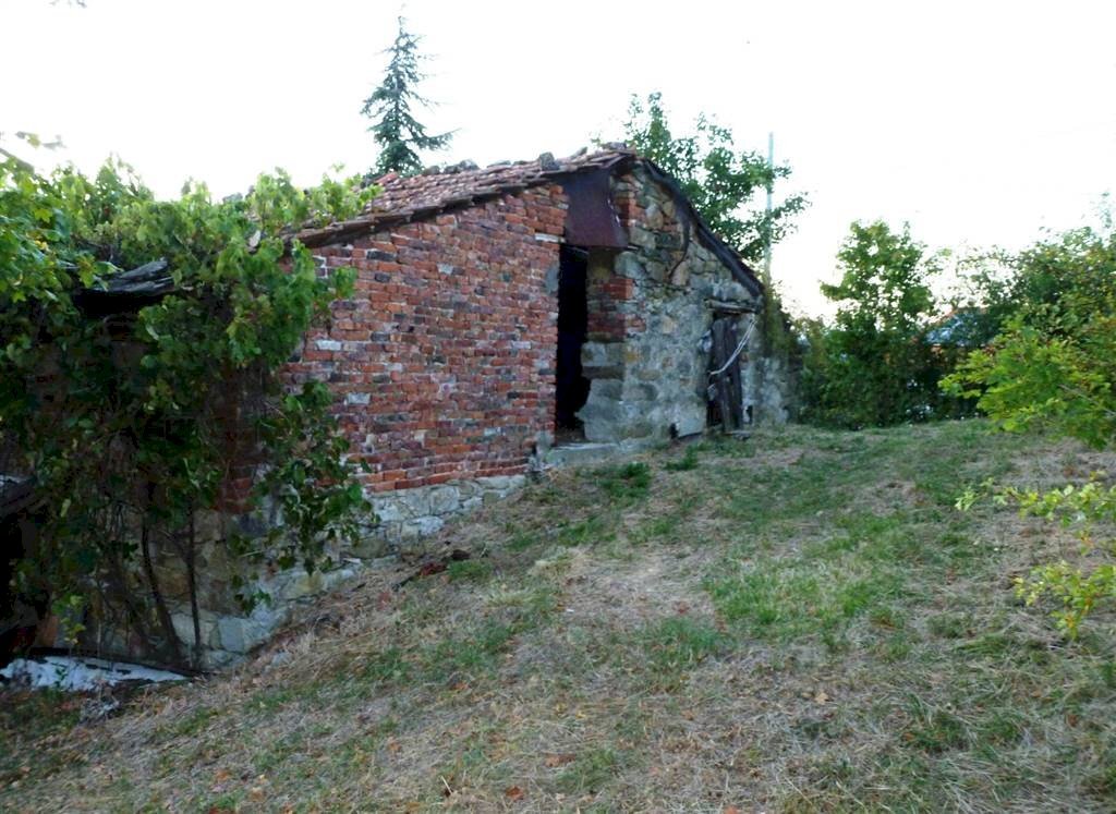 Casa Colonica Via Case Conti, Castiglione dei Pepoli - foto 3