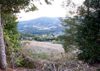 Casa Colonica Via Case Conti, Castiglione dei Pepoli - foto 11